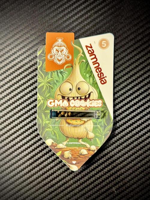 GMO Cookies Served with extra curiosity. Week 0 - Germination reports