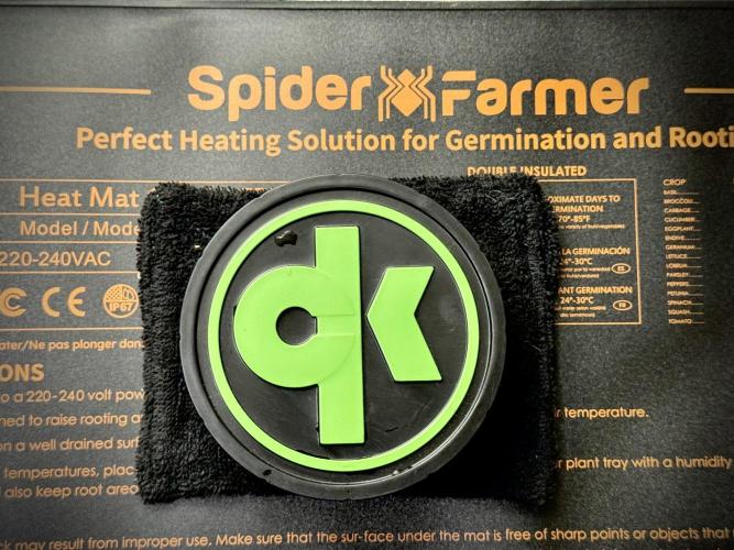 GMO Cookies Served with extra curiosity. Week 0 - Germination reports