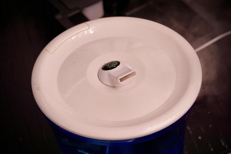 GMO Cookies Served with extra curiosity. Week 0 - Germination reports