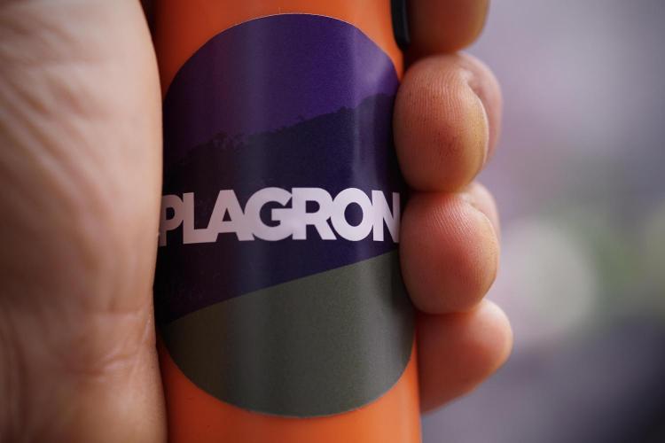 GMO Cookies Served with extra curiosity. Week 0 - Germination reports