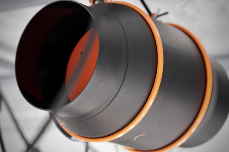 Catching The Ghost Train Haze @ Zamnesia. Week 0 - Germination