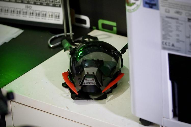 Catching The Ghost Train Haze @ Zamnesia. Week 0 - Germination