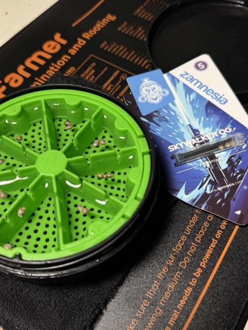 Skywalker OG Legends of the 12/12 Galaxy. Week 0 - Germination