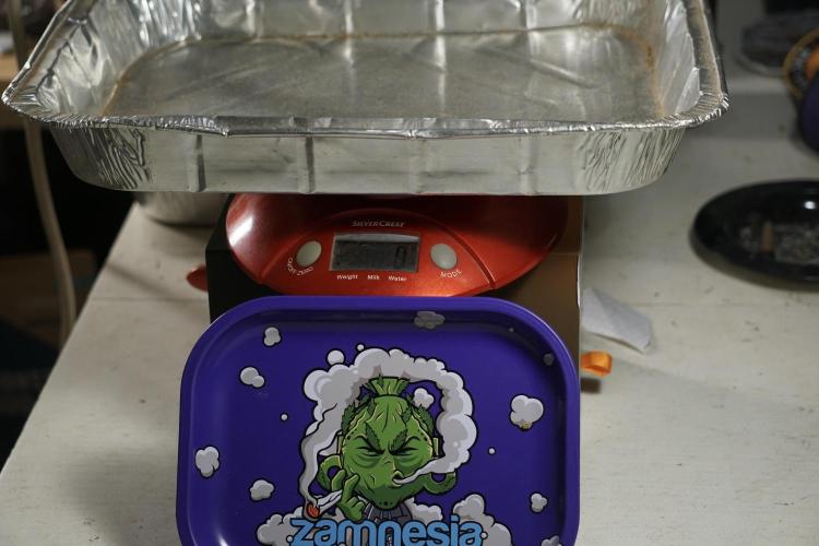 Dognabis 035 Permanent Marker (Zamnesia). Week 14 - PM #1