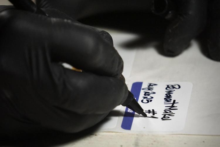 Dognabis 035 Permanent Marker (Zamnesia). Week 14 - PM #1