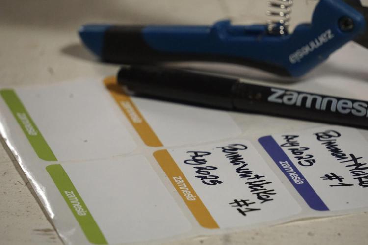 Dognabis 035 Permanent Marker (Zamnesia). Week 14 - PM #1