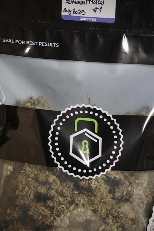 Dognabis 035 Permanent Marker (Zamnesia). Week 14 - PM #1