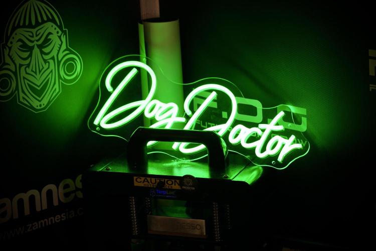 Animal Mints-Legends of the Frozen North. Week 0 - the beginning room and vibes 