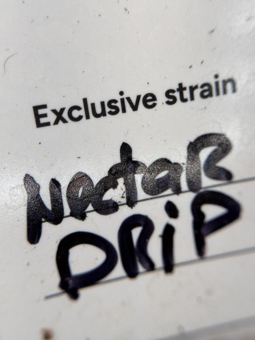 TicaL X Zamnesia-NectarDrip pack#268/750. Week 2 - Nectar Drip
