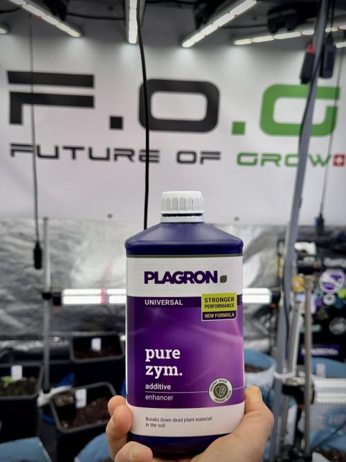 LSD Zamnesia Trippping. Week 1 - Pure Zym