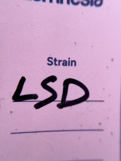 LSD Zamnesia Trippping. Week 1 - LSD 1st week magic 