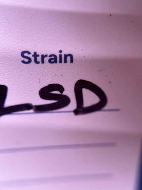 LSD Zamnesia Trippping. Week 1 - LSD 1st week magic 