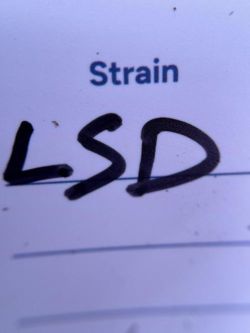 LSD Zamnesia Trippping. Week 1 - LSD 1st week magic 