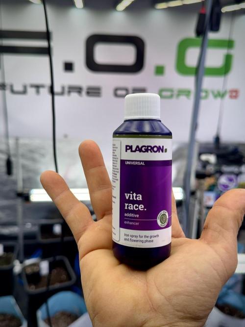 Cosmic Noodles a Zamnesia Dish. Week 1 - Vita Race