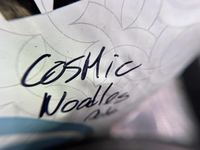 Cosmic Noodles a Zamnesia Dish. Week 1 - Plant A