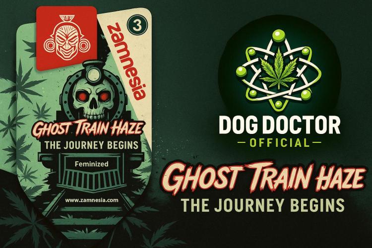 Catching The Ghost Train Haze @ Zamnesia. Week 1 - Cover