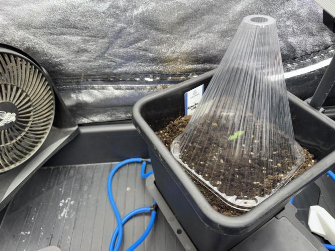 Skywalker OG Legends of the 12/12 Galaxy. Week 1 - SWOG First Week 