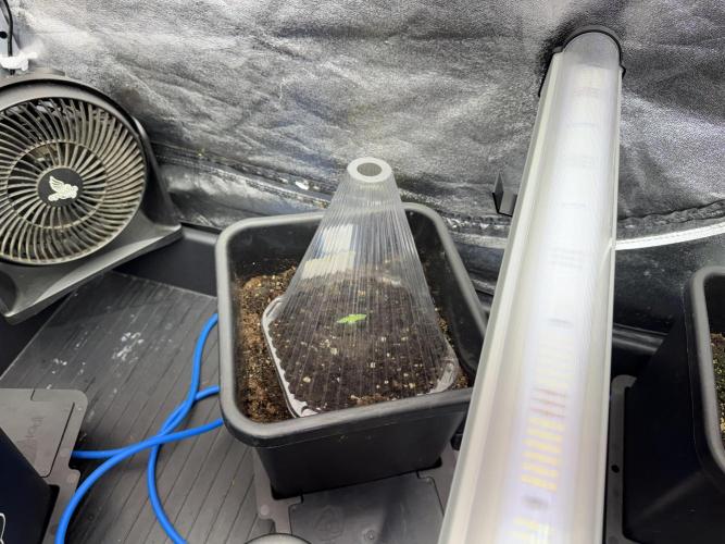 Skywalker OG Legends of the 12/12 Galaxy. Week 1 - SWOG First Week 