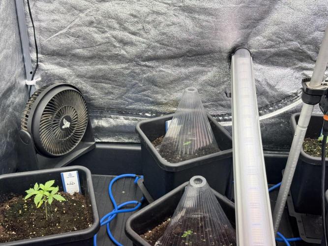 Skywalker OG Legends of the 12/12 Galaxy. Week 1 - SWOG First Week 