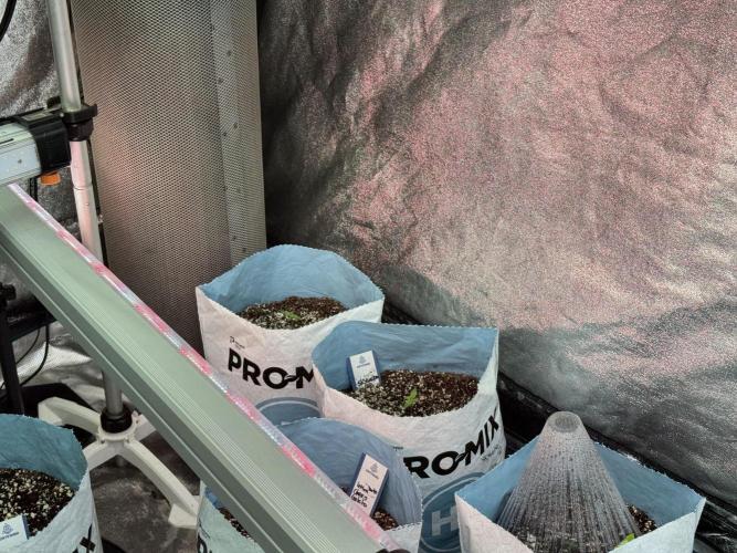 Skywalker OG Legends of the 12/12 Galaxy. Week 1 - SWOG First Week 