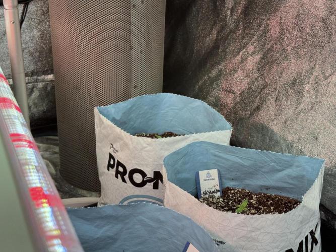 Skywalker OG Legends of the 12/12 Galaxy. Week 1 - SWOG First Week 