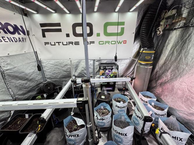 Skywalker OG Legends of the 12/12 Galaxy. Week 1 - SWOG First Week 