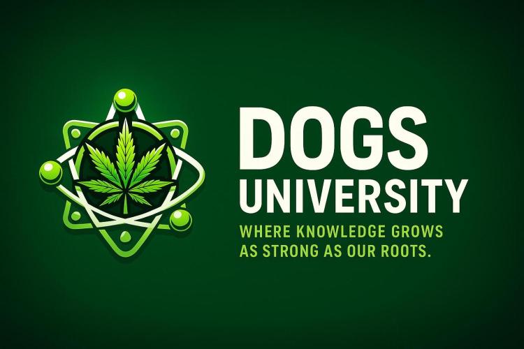 TicaL X Zamnesia-NectarDrip pack#268/750. Week 3 - Joint us