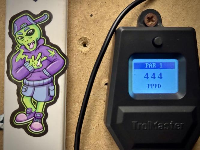 Cosmic Noodles a Zamnesia Dish. Week 2 - Room Vibes