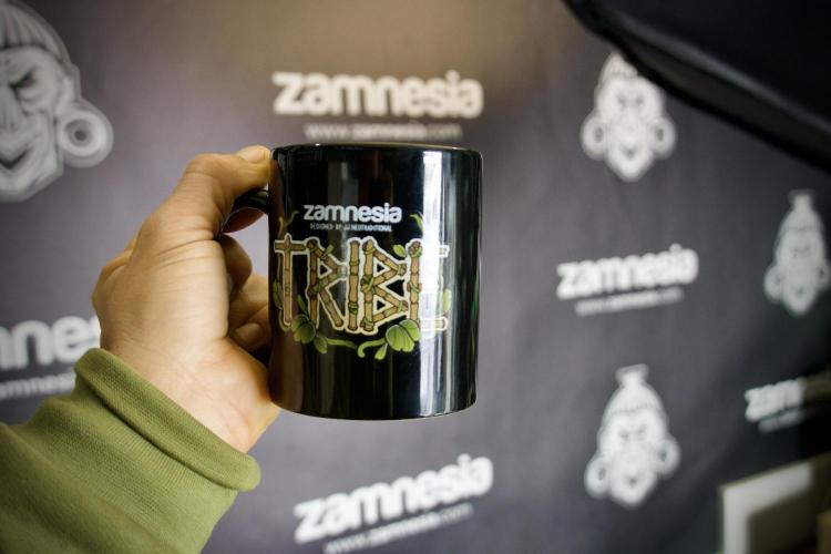 Amnesia Skunk The Zamnesia Way. Week 2 - Room and Vibes