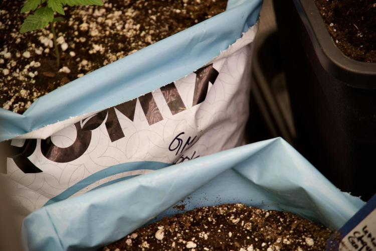 GMO Cookies Served with extra curiosity. Week 2 - GMO Cookies 