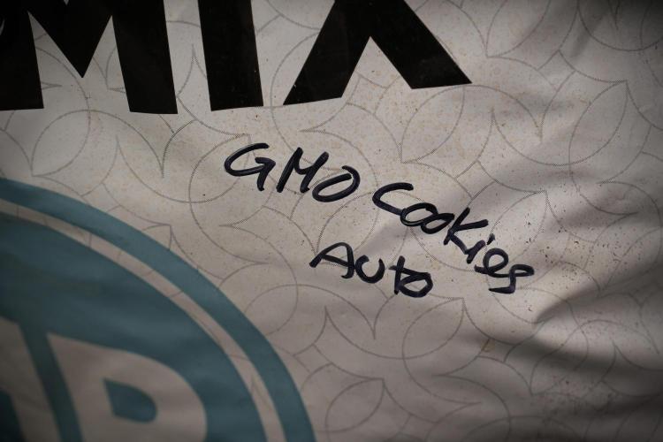 GMO Cookies Served with extra curiosity. Week 2 - GMO Cookies 