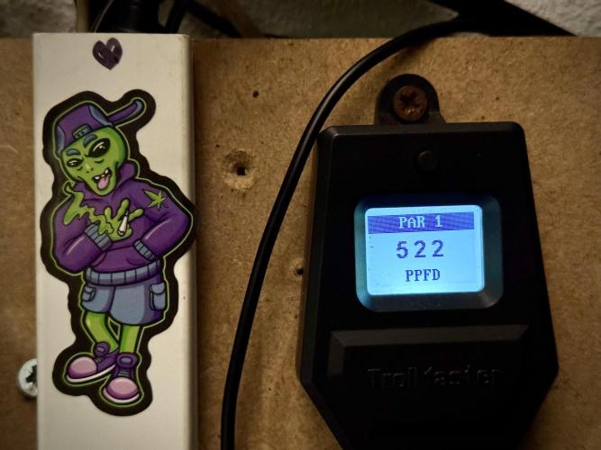 GMO Cookies Served with extra curiosity. Week 2 - Room and Vibes 