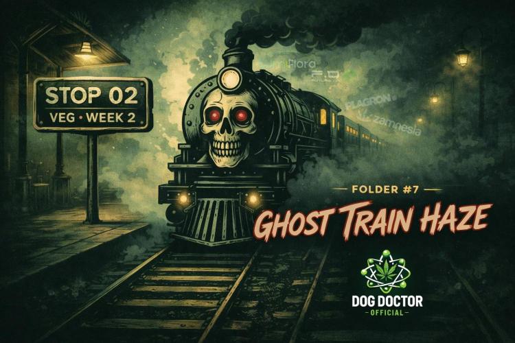 Catching The Ghost Train Haze @ Zamnesia. Week 2 - Weekly Cover