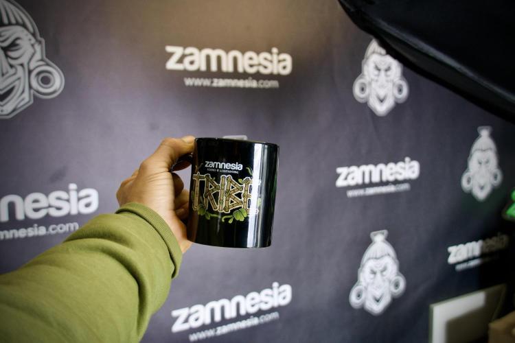 Catching The Ghost Train Haze @ Zamnesia. Week 2 - Room and vibes 