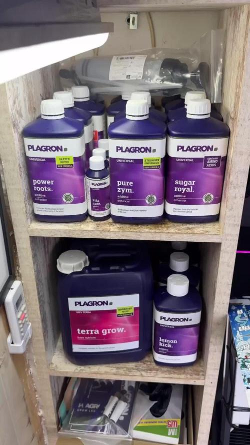 Catching The Ghost Train Haze @ Zamnesia