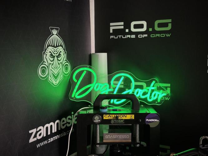 Catching The Ghost Train Haze @ Zamnesia. Week 2 - Room And Vibes 