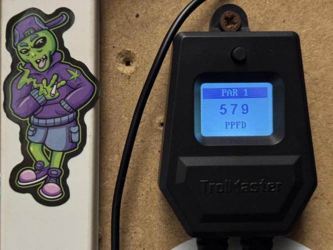 Skywalker OG Legends of the 12/12 Galaxy. Week 2 - Room And Vibes