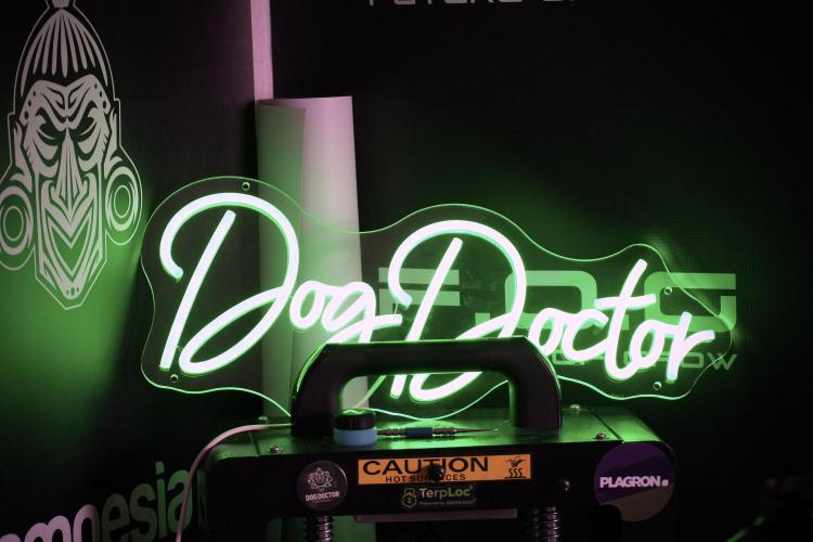 Animal Mints-Legends of the Frozen North. Week 2 - Room and vibes