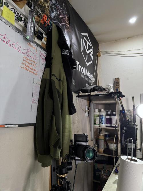 Dognabis 035 Permanent Marker (Zamnesia). Week 15 - Extra harvest day photos 