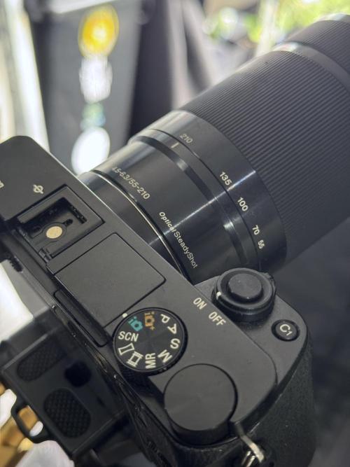 Dognabis 035 Permanent Marker (Zamnesia). Week 15 - Extra harvest day photos 