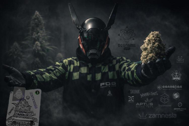 Dognabis 035 Permanent Marker (Zamnesia). Week 15 - Cover