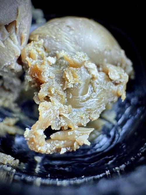 Dognabis 035 Permanent Marker (Zamnesia). Week 15 - Low temp 2 months cold cured 