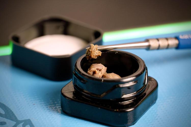 Dognabis 035 Permanent Marker (Zamnesia). Week 15 - Low temp 2 months cold cured 