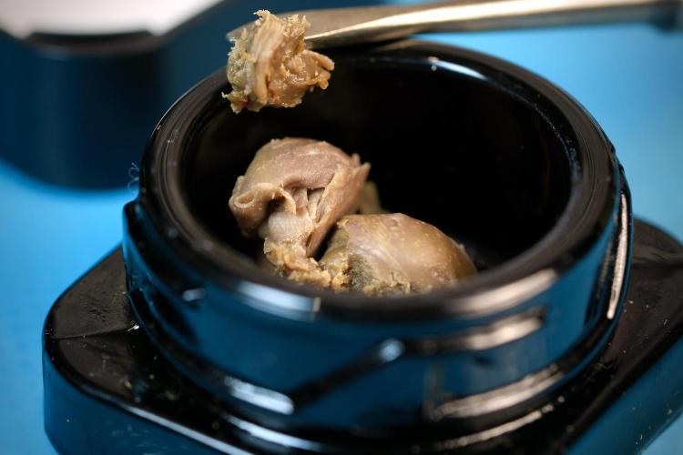 Dognabis 035 Permanent Marker (Zamnesia). Week 15 - Low temp 2 months cold cured 