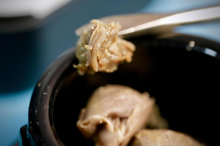 Dognabis 035 Permanent Marker (Zamnesia). Week 15 - Low temp 2 months cold cured 