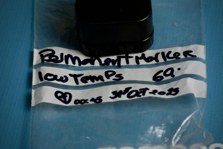 Dognabis 035 Permanent Marker (Zamnesia). Week 15 - Low temp 2 months cold cured 