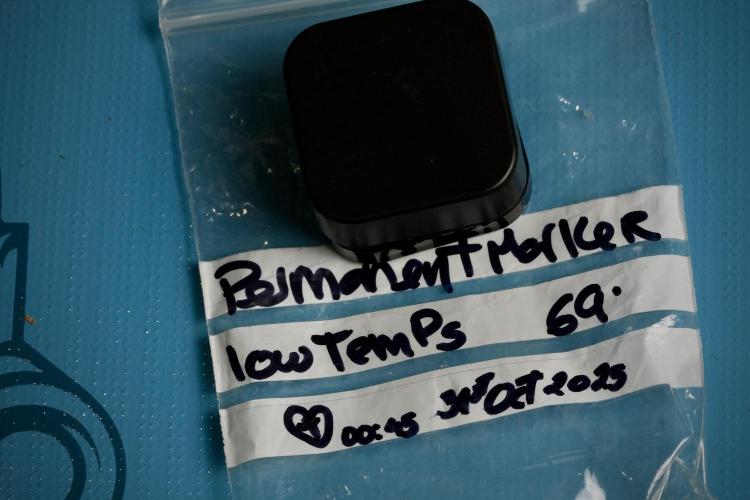 Dognabis 035 Permanent Marker (Zamnesia). Week 15 - Low temp 2 months cold cured 