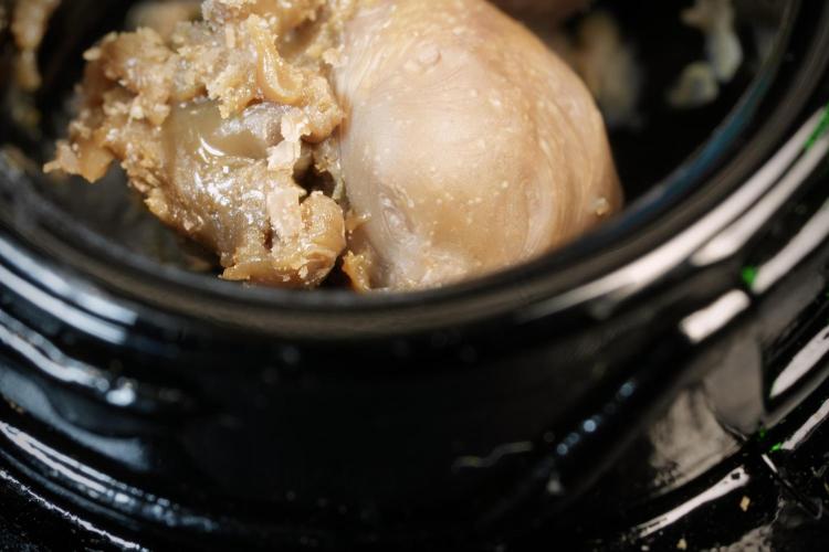 Dognabis 035 Permanent Marker (Zamnesia). Week 15 - Low temp 2 months cold cured 