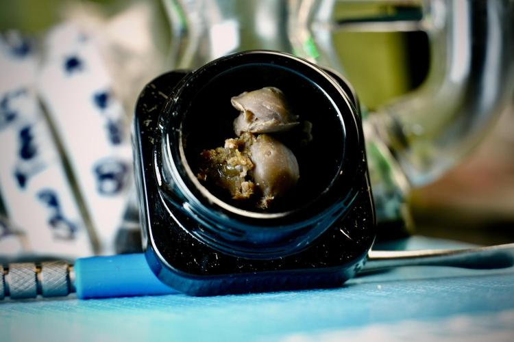 Dognabis 035 Permanent Marker (Zamnesia). Week 15 - Low temp 2 months cold cured 