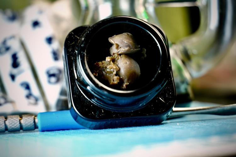 Dognabis 035 Permanent Marker (Zamnesia). Week 15 - Low temp 2 months cold cured 